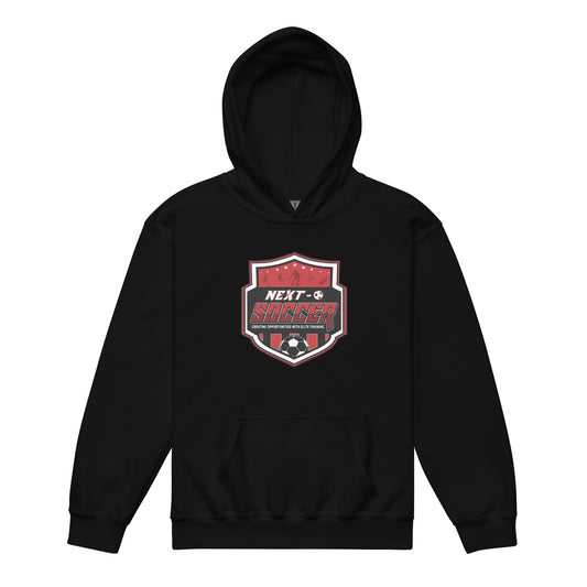 Youth Hoodie